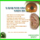 단 음식을 먹으면 뇌에서 도파민이 분비 된다 / 생활이침. 홍채임상학 -최만규 교수- 이미지