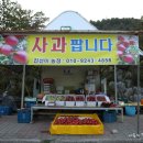 진선미농장 이미지