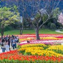 순천만국가정원 이미지