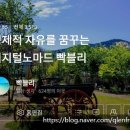 자유의지님의 디지털노마드 블로그 수익반 2기 수강 이후의 빡블리 이미지