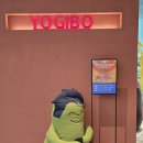 롯데화성세탁 | 동탄 롯데백화점 요기보 팝업 방문 후기 | 빈백 직접 앉아봤더니!