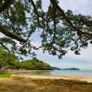 나로우주해수욕장 이미지