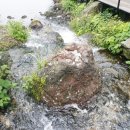 동성수산횟집 이미지