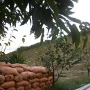 산전농장 이미지