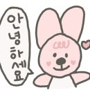 펀비어킹 향남로데오점