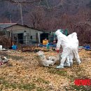 병성농장 이미지