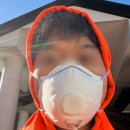 Wales Dog(웨일스독) | 호주 워홀 타일 일자리 무경력 소오오오올직 후기