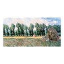 아이에스컴퍼니 이미지