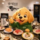 큰별어린이집 | [광명역] 별의별초밥, 접시당 1,990원 회전초밥 솔직 후기