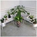 남미래부동산공인중개사사무소 이미지