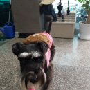 인덕수산 이미지