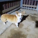 약목면사무소 이미지