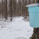 메이플밸리 이미지