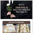 제일효요양병원 | 대구 제일효요양병원장례식장 유족과 고인을 섬기는 마음으로 3일장례 동명가족묘지 합장