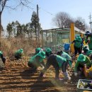 신창면 행정복지센터 이미지