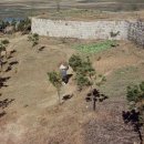 수원-1967 이미지