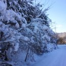 번암무룡고개로 이미지