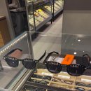 디아이안경 | LA, 라스베가스 신혼여행 D-2, D-1 선글라스 고르기, 인천공항 베스트웨스턴 호텔로 이동