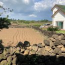 하도 생각나 이미지