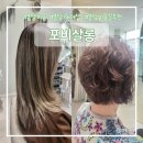 포비살롱