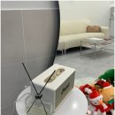 엔뷰티