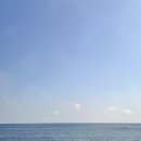 동복목장 | [제주 보름살이 4일차] 그토록 바라던 제주 하늘과 함께한 날 (곰막식당, 목장카페 밭디, 옥상 바베큐 )