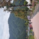 빛(꽃)의정원 | 🌸 2025 포천 한탄강 가든페스타 후기 — 꽃, 빛, 그리고 바람이 머무는 가을 정원 🌿