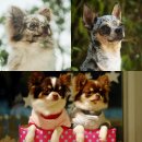 (주)나리안 이미지