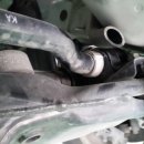 보라카센타 이미지