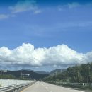 GR(강진군)-[미항로]-상-5 | 광주근교맛집 전남 강진 수협 초장집 회타운 / 내돈내산 가성비 짱짱맛집 (물회존맛임)