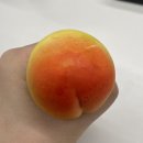 청마여행사주 | [주간일기] 일에 치이는 주중과 주말 주문진 일기😌✨