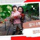 봄이네농장 이미지