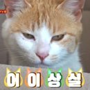 일표농장 이미지