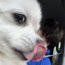 정*병