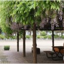 운산초등학교 옆 네이버블로그