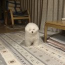 (유)감성건설 | 아무것도안한다고XX아