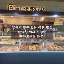 앤더브레드 이미지