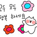 디샵뷰티&스킨 여의도점 이미지