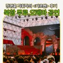 오페라<순정대학vs밀당대학> 공연 | view!여행] 북항친수공원에서 즐기는 야외 오페라 공연! 정명훈 지휘자의 카르멘 후기 | 부산 오페라하우스