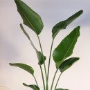 다섯가지약속치과의원 이미지