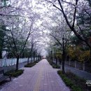 여기산공원 사거리 이미지