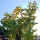 전주한옥마을역사관 이미지