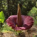 모리폴리 이미지