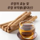 우엉차 효능 부작용, 우엉차 칼로리는? 영양성분 전체정리 이미지