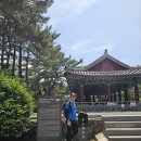 몰운대성당 | 갈맷길 제4-2코스 감천항~두송반도~몰운대(2025년6월17일)