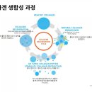 폴앤미