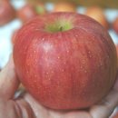 성준농장 이미지