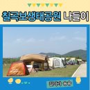 금화고속관광 | 칠곡보 생태공원 : 놀이터 좋은 대구 근교 노지캠핑
