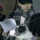 보더콜리 매니아 송년회 (우리 강아지들 모음) 이미지