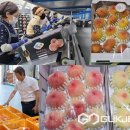 충주농협 노은지점 이미지